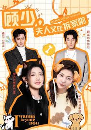 顾少,夫人又在拆家啦
