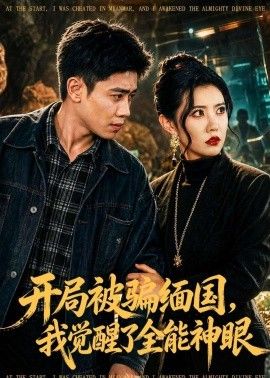 开局被骗缅国,我觉醒了全能神眼