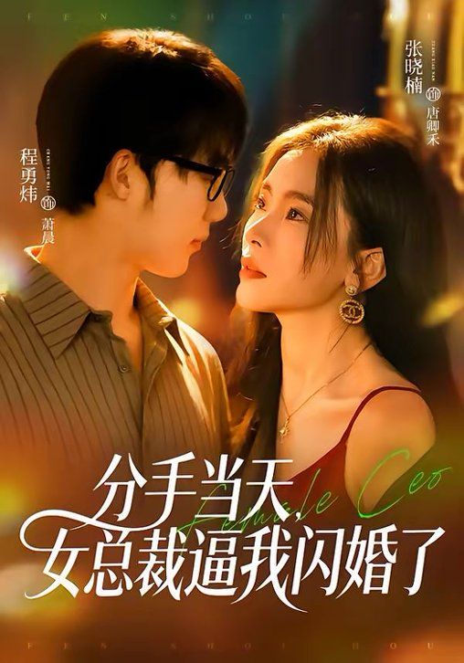 分手当天,女总裁逼我闪婚了