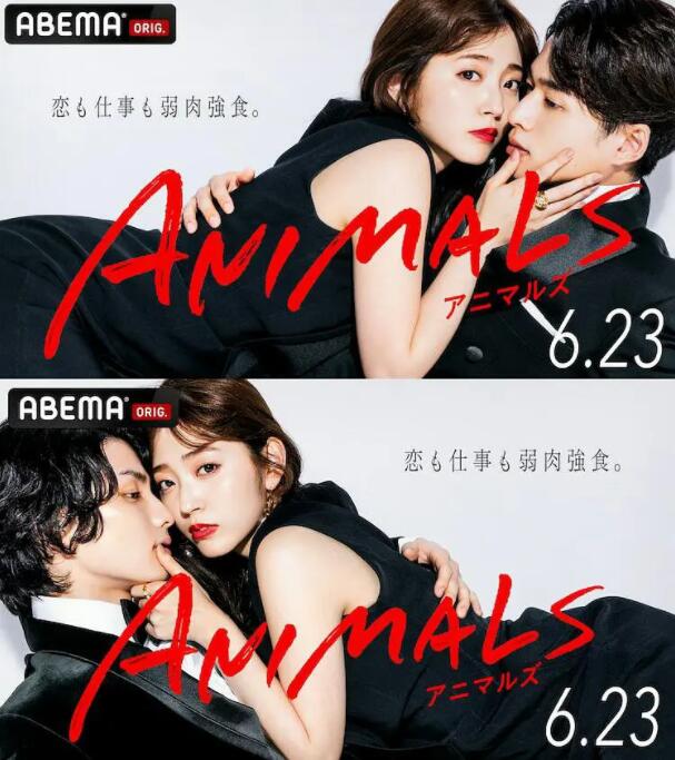 动物 ANIMALS