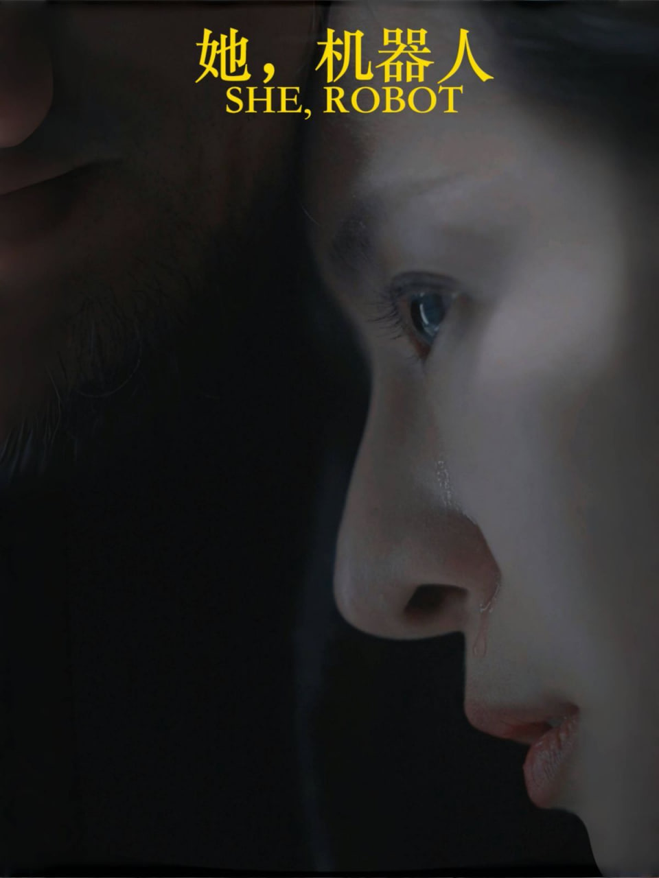 她,机器人