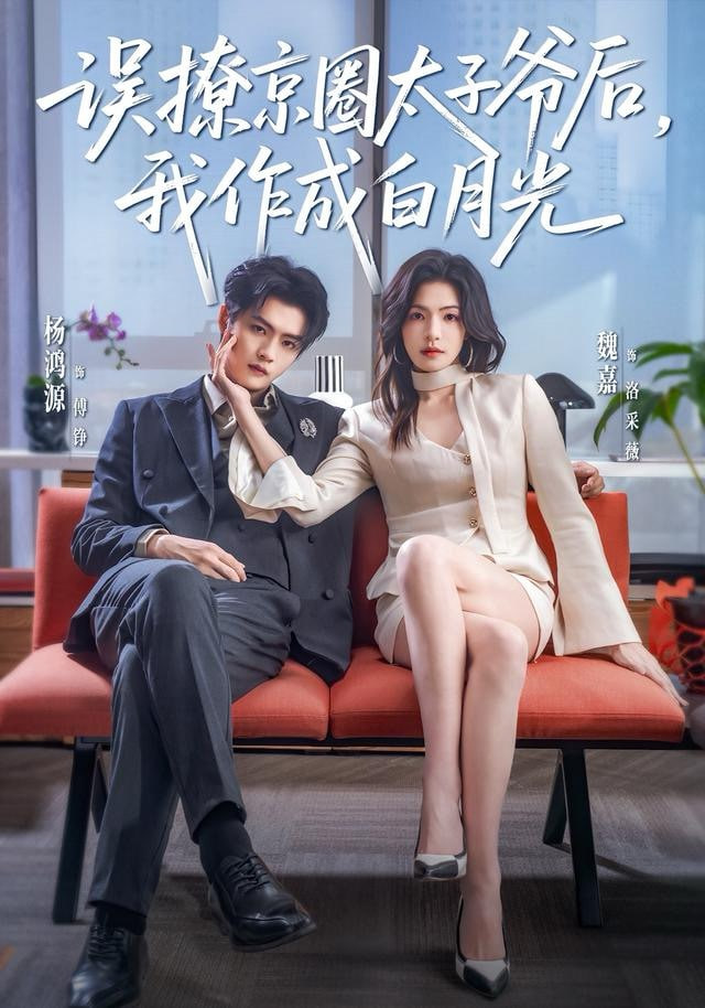误撩京圈太子爷后,我作成白月光