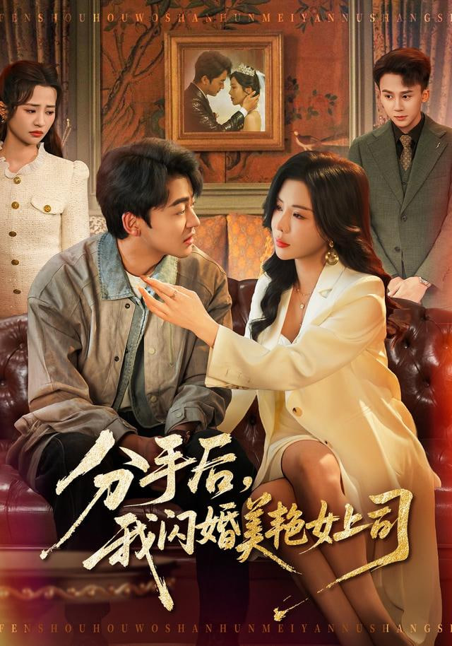 分手后,我闪婚美艳女上司