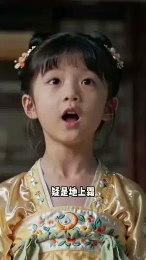 双穿贵女:弃夫后我名扬朝野