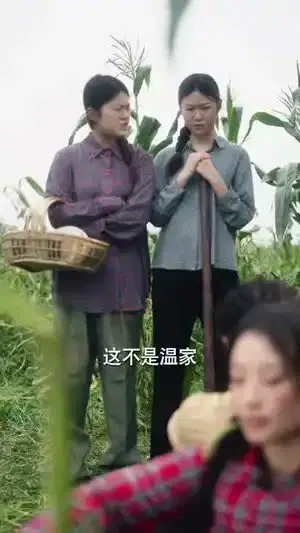 陆太太是来离婚的之慵便枕玉凉