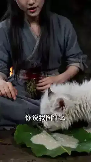 真千金靠厨艺带娃闯荡修仙界