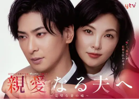 致亲爱的丈夫 完美妻子的谎言