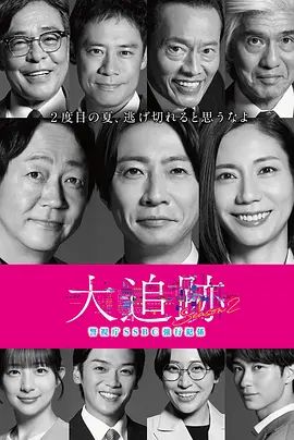 大追踪警视厅SSBC强行犯系第二季